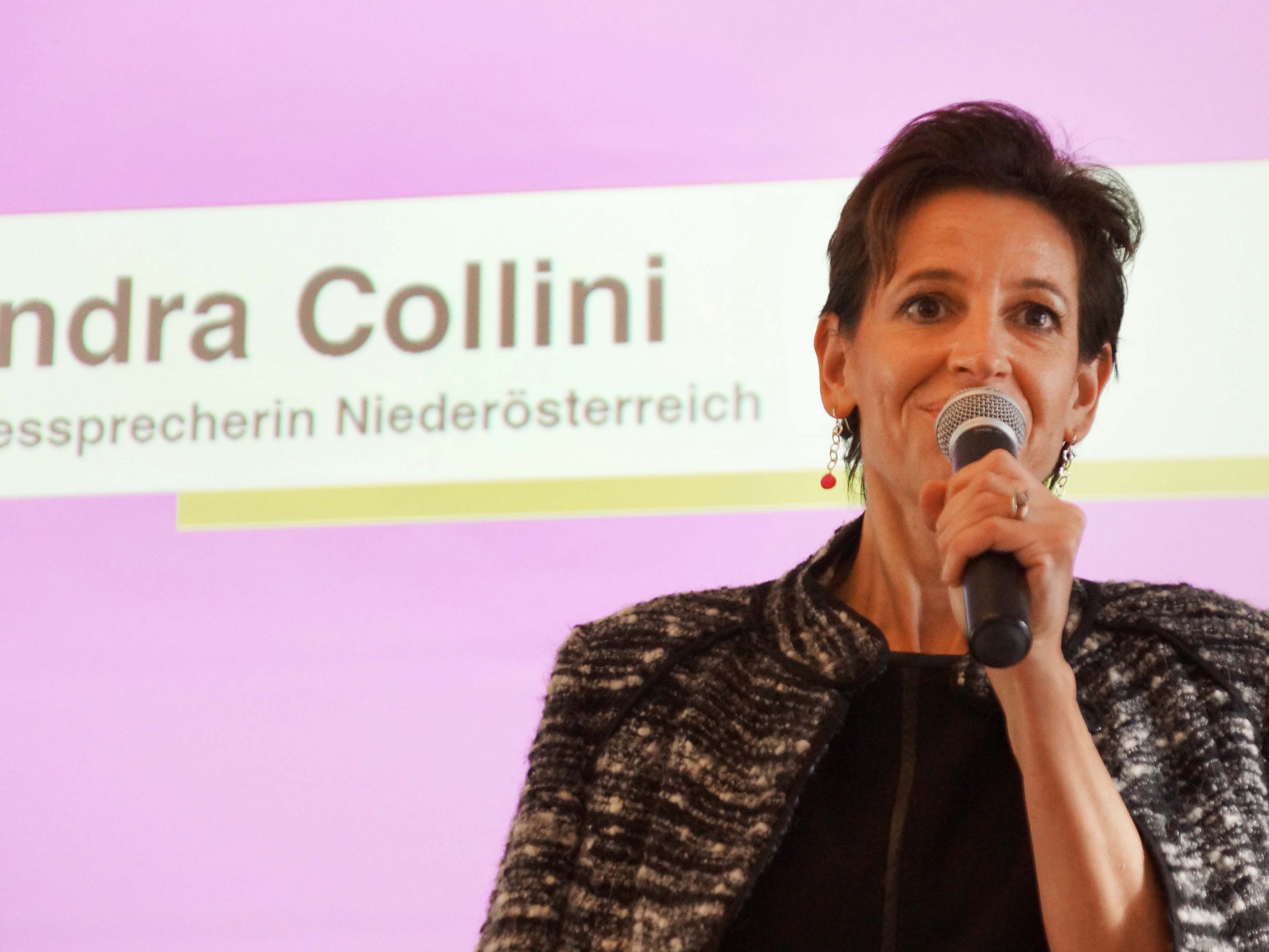 Collini will mit den NEOS in den Landtag einziehen.