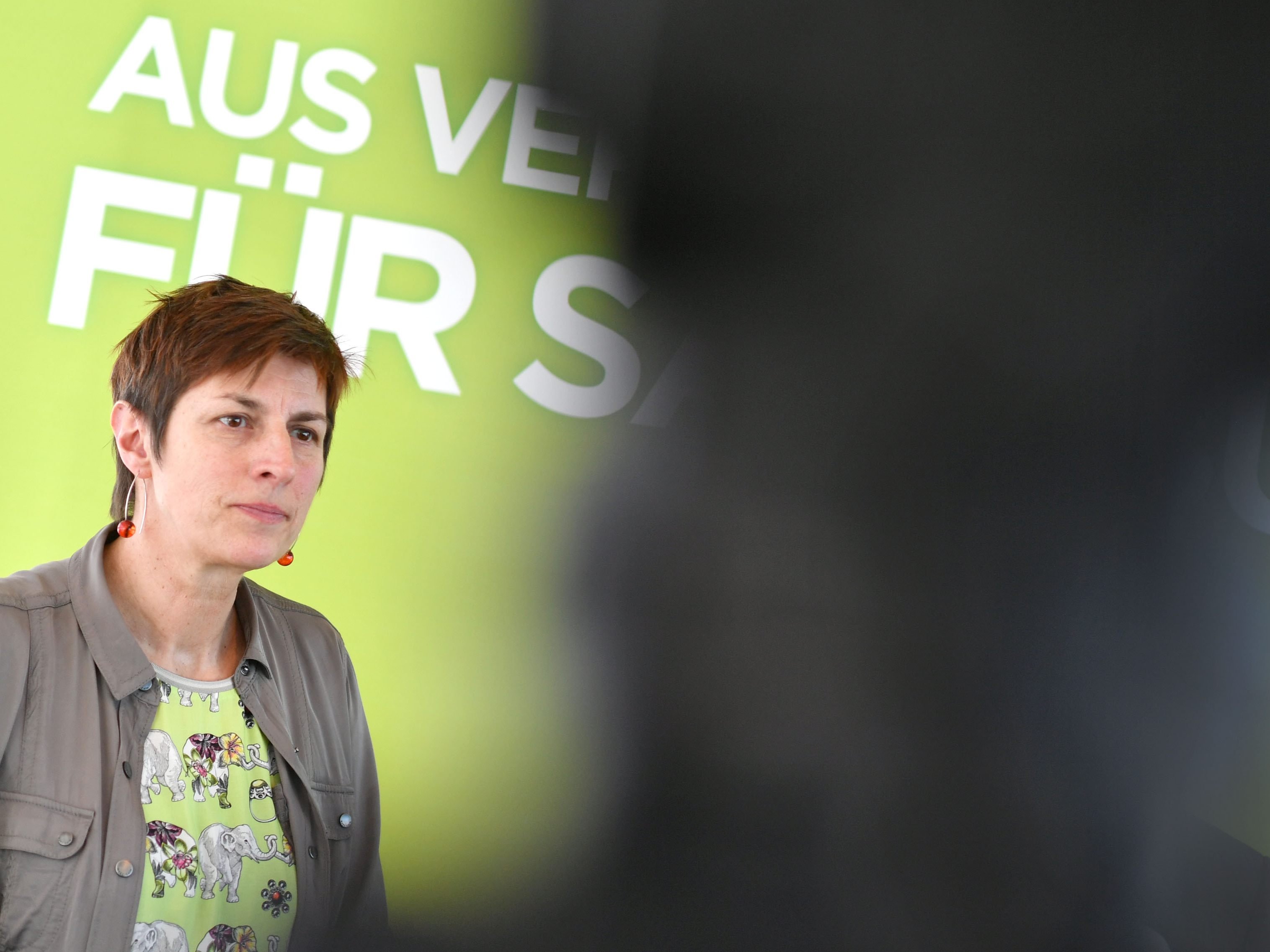 Die Grüne Zukunft in Salzburg erscheint ungewiss Die Grüne Zukunft in Salzburg erscheint ungewiss