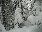 Winterwanderung In Sibratsgfäll , Ruhe und Schönheit  der Natur