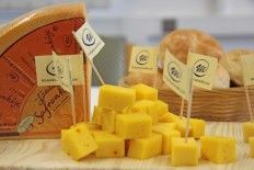 Vorarlberg Milch zieht Bilanz über das Jahr 2011.