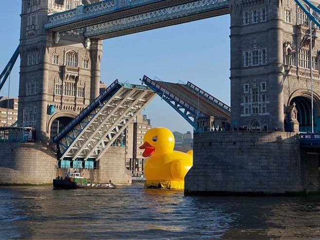 Nicht jeden Tag schwimmt eine 15 Meter große Ente entlang der Themse. Nicht jeden Tag schwimmt eine 15 Meter große Ente entlang der Themse.