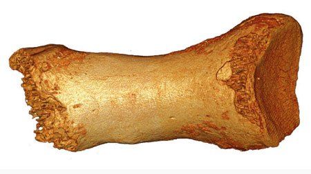 neandertaler-APA4590 neandertaler-APA4590