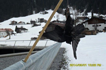 Foto: Privat