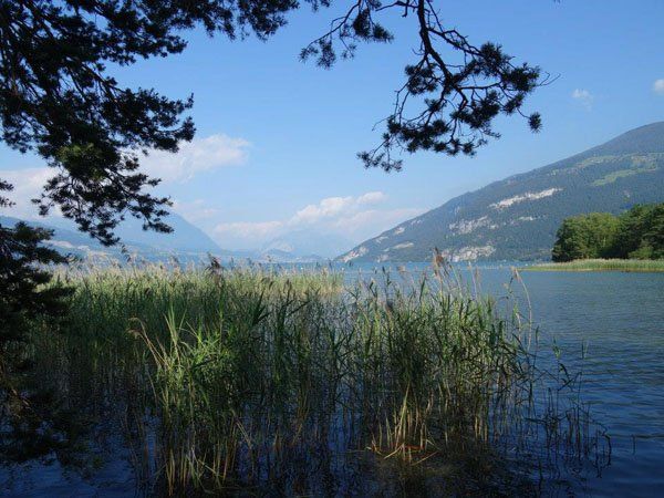 derThurnersee_web