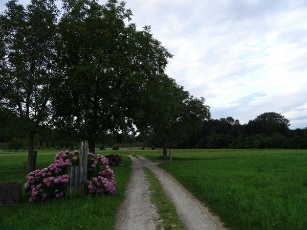 Bild1_Landschaftoeffnetsich_web