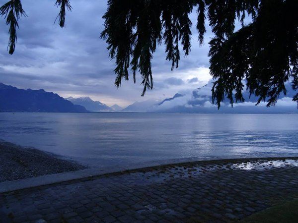 Bild1_Mystische Morgenstimmung_web