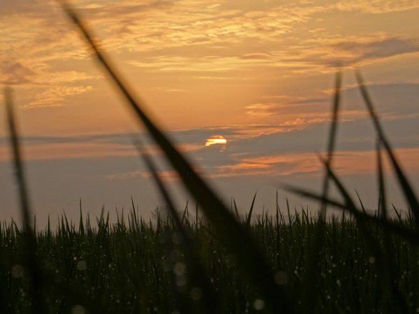 Bild2_Sonnenaufgang_web Bild2_Sonnenaufgang_web