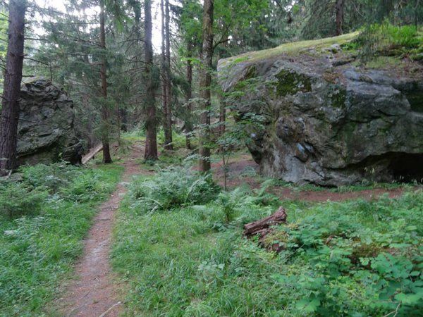Bild3_wunderschoenePfade_web