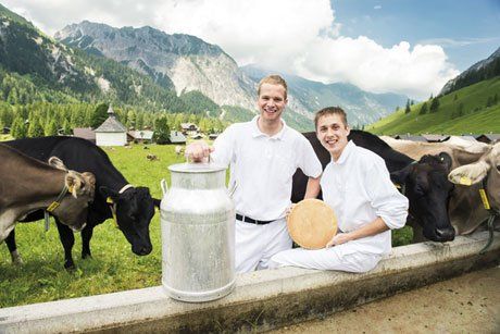 Bild_3