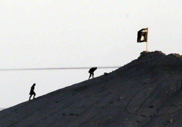 ISLAMIC STATE AIR CAMPAIGN ANALYSIS