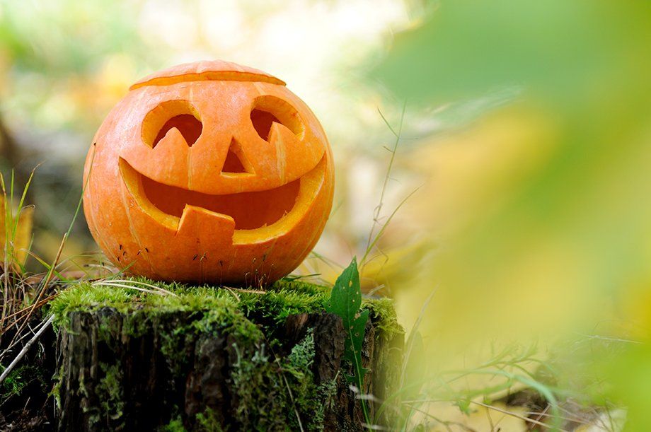 shutterstock_114708181