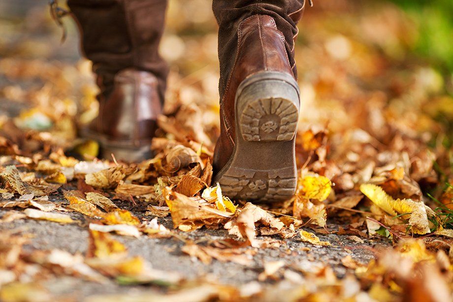 shutterstock_140917441