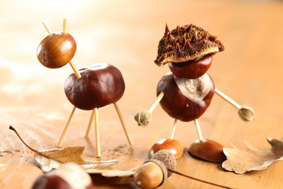 shutterstock_145442230