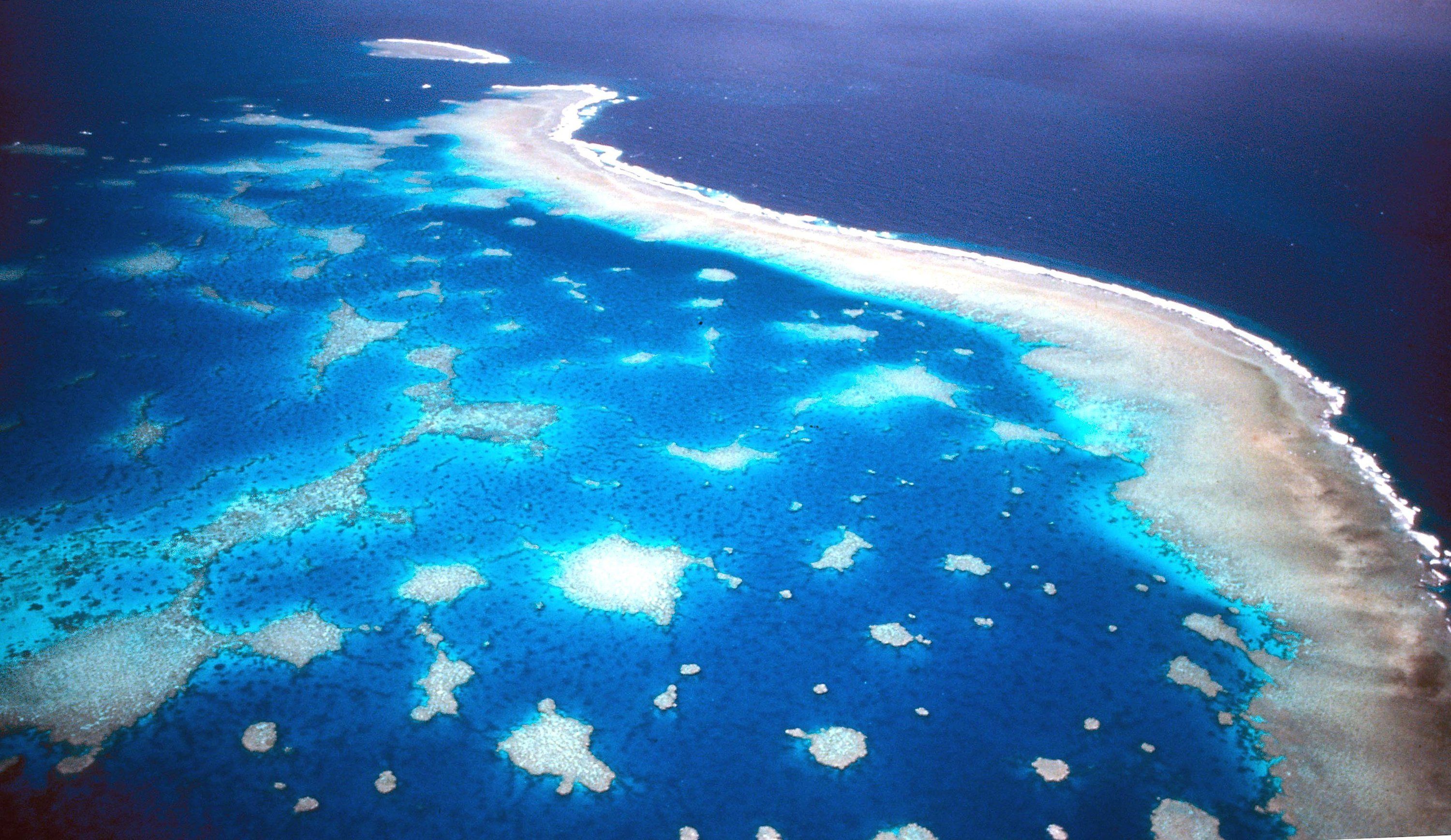 Luftaufnahme des Great Barrier Riffs vor der Küste Australiens. Foto: dpa