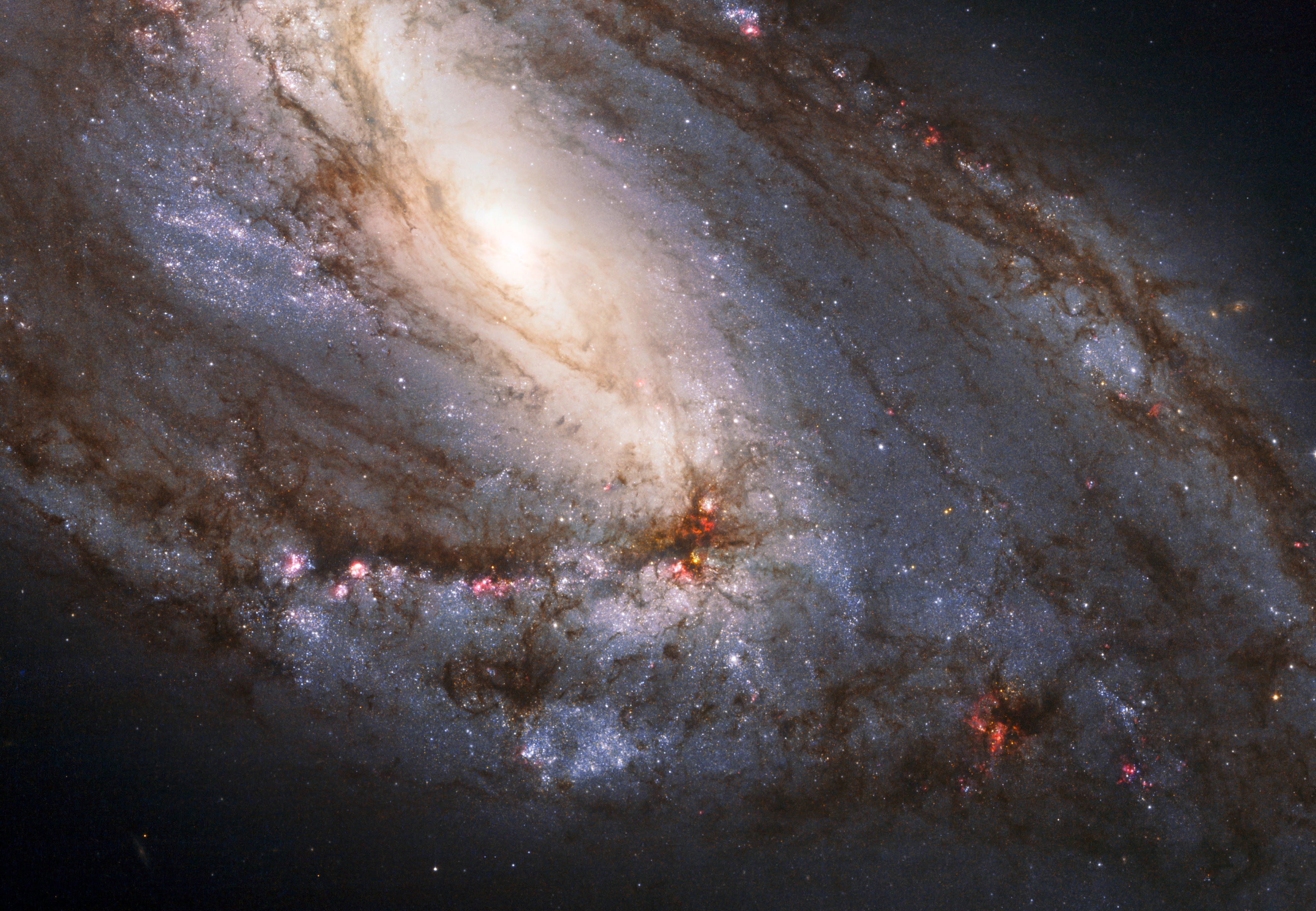 Hubble Space Telescope Photo Gallery