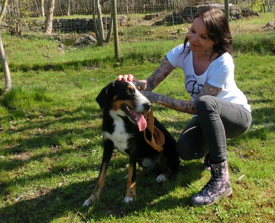 Fundhund Chibs mit Tierschützerin Sandy. Facebook Fundhund Chibs mit Tierschützerin Sandy. Facebook