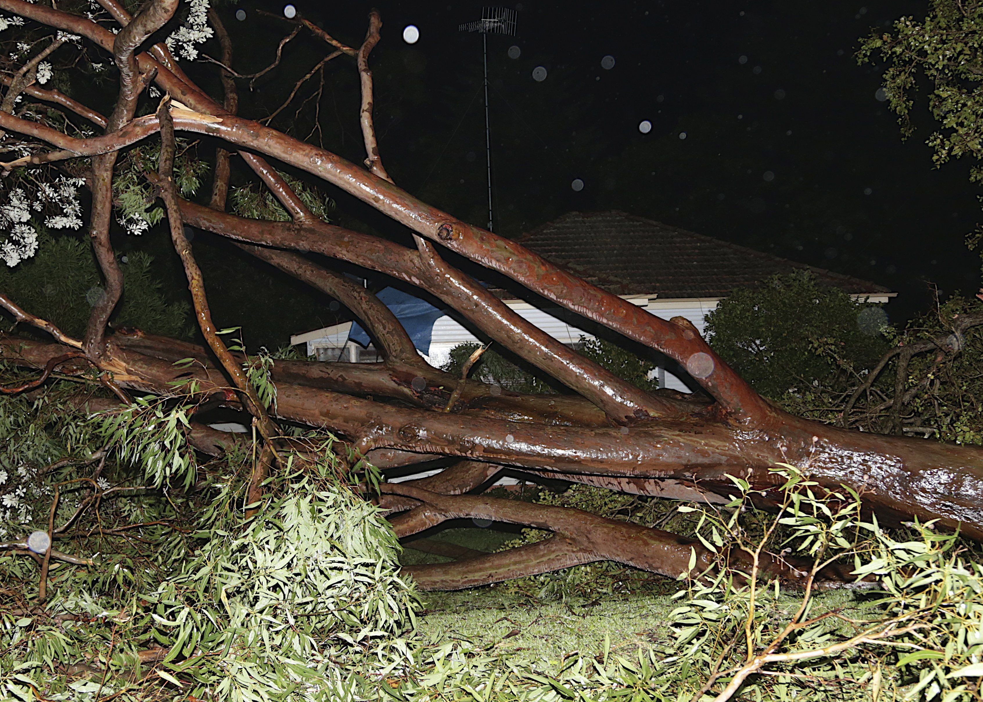 Australia Severe Storm