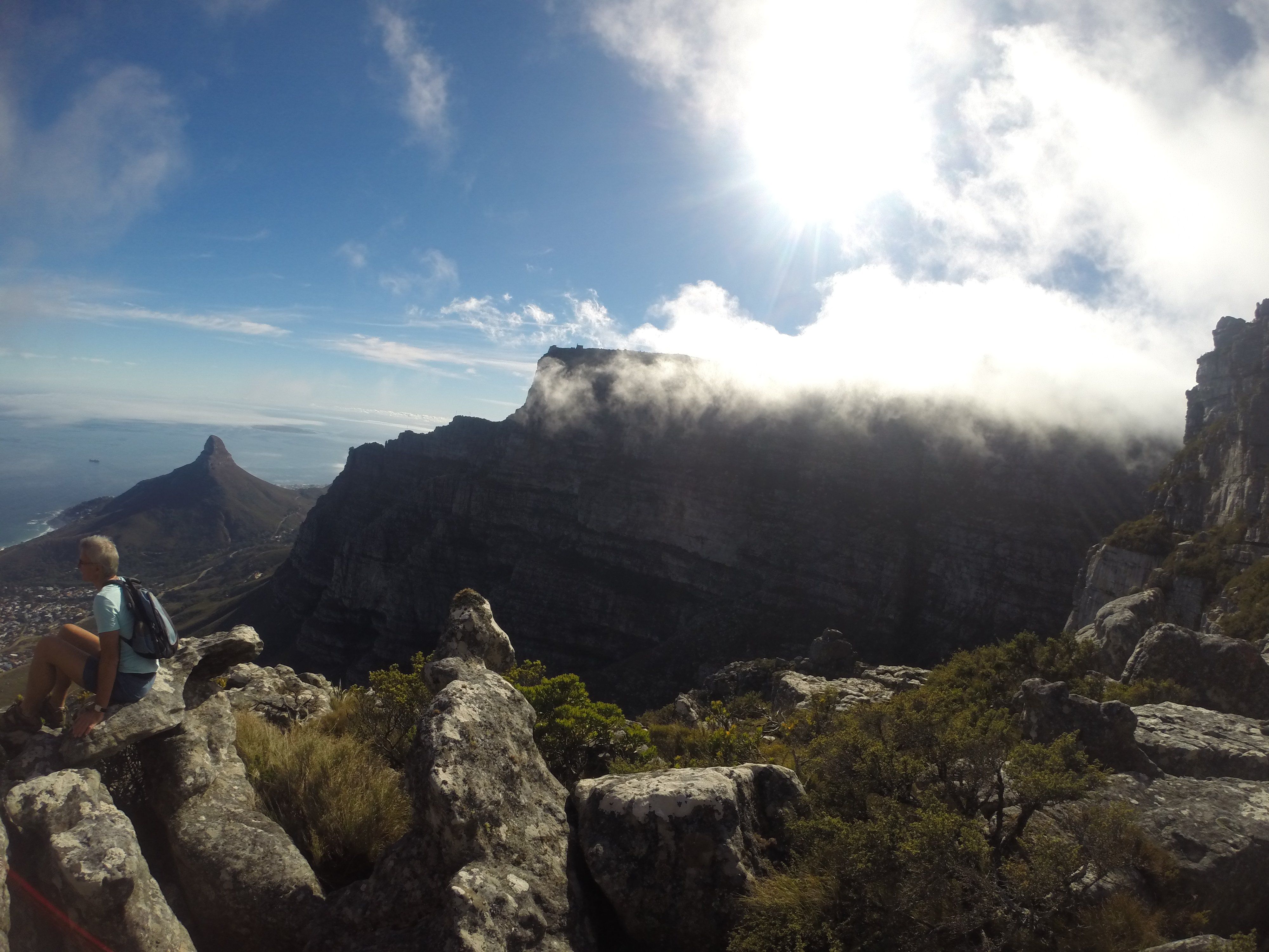 Auf dem Tafelberg - Nussbaumer