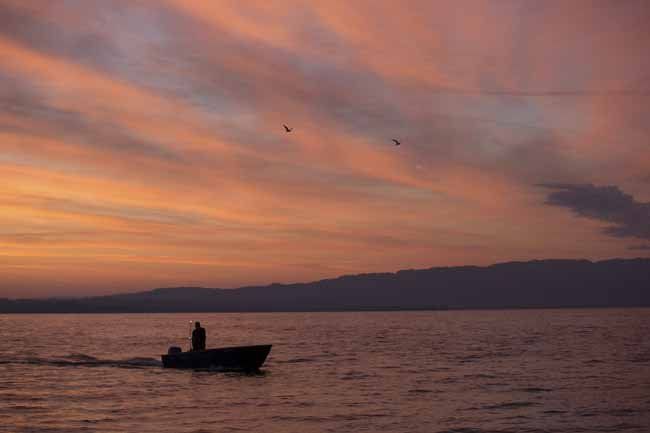 Bodensee - Wildnis am großen Wasser
