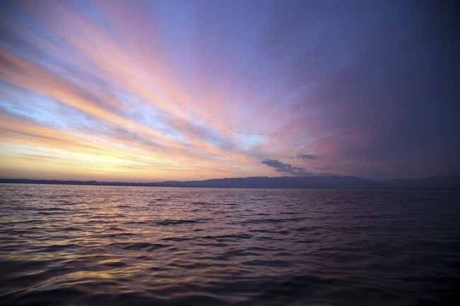 Bodensee - Wildnis am großen Wasser
