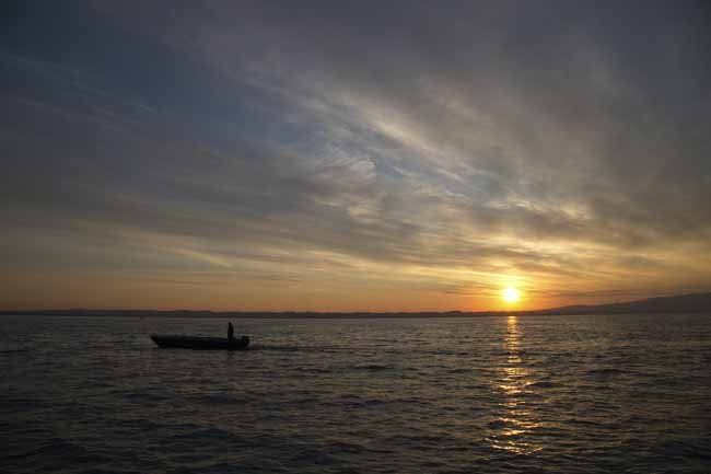 Bodensee - Wildnis am großen Wasser