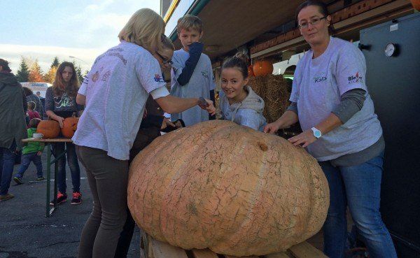 Das ist der 250-Kilo-Kürbis aus Lauterach -Brüstle