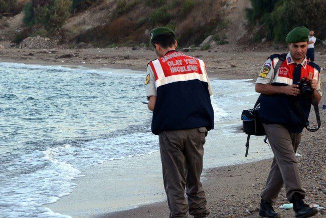 aylan 650x435 aylan 650x435