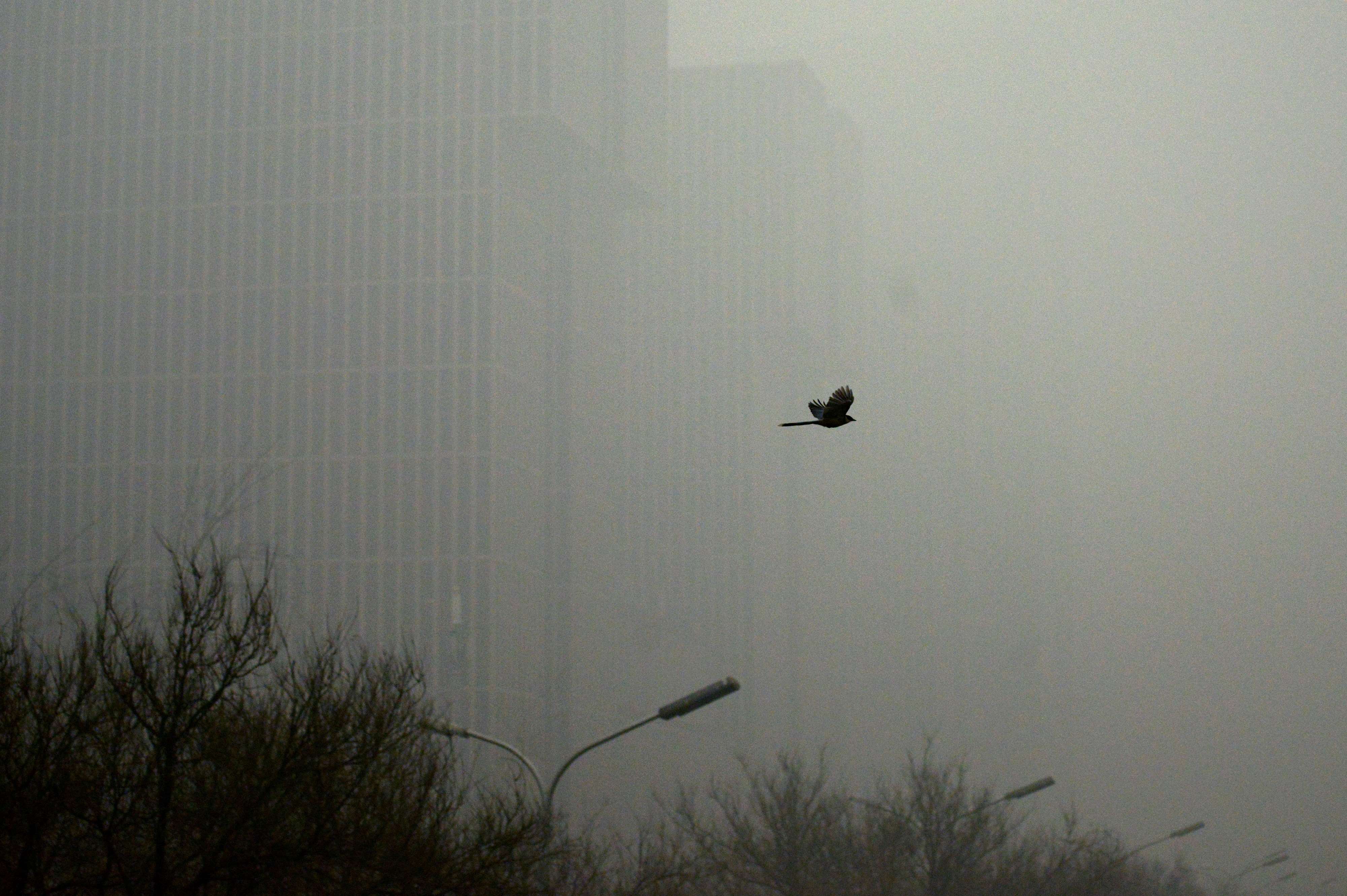 CHINA-ENVIRONMENT-POLLUTION-COP21 CHINA-ENVIRONMENT-POLLUTION-COP21