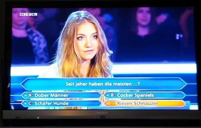 riesenschnauzer2-650x435