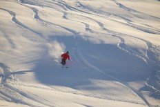 Jetzt im Jänner erwarten viele Skigäste einen solchen Anblick auf und abseits der Piste.