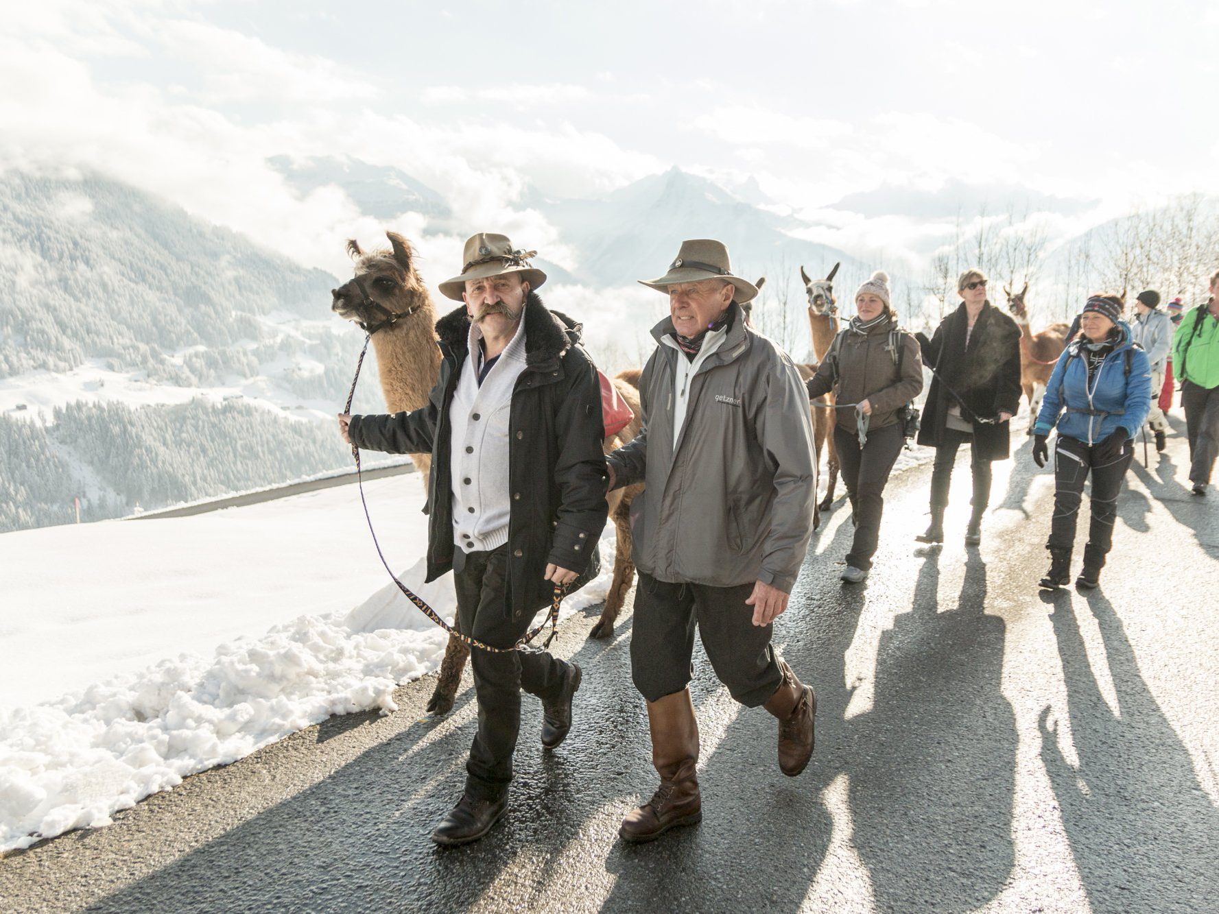 Einheimische und Gäste entdecken mit den Lamas die Montafoner Bergwelt.