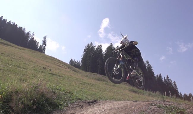 Bild_1