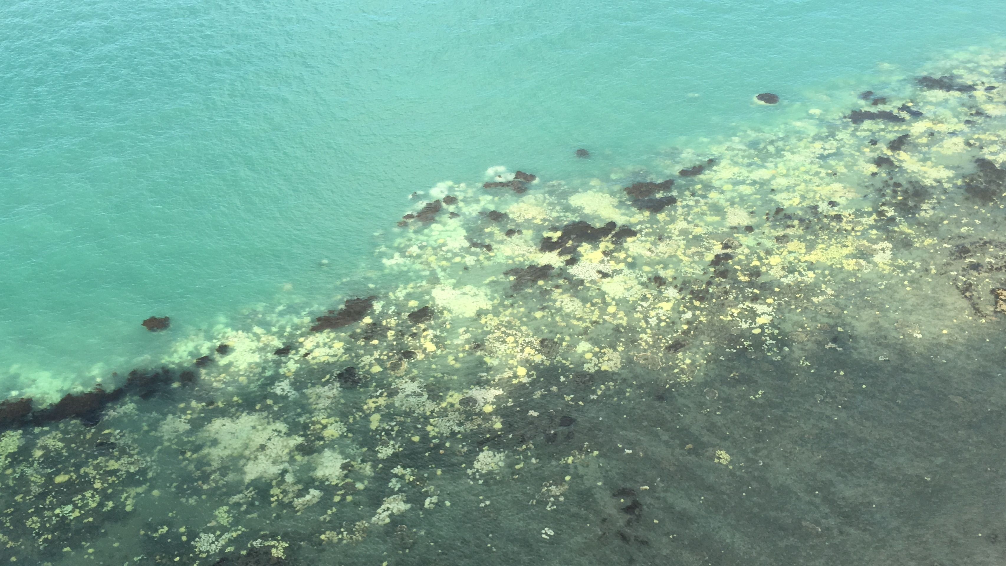 AUSTRALIA-ENVIRONMENT-CONSERVATION-REEF-BLEACHING AUSTRALIA-ENVIRONMENT-CONSERVATION-REEF-BLEACHING