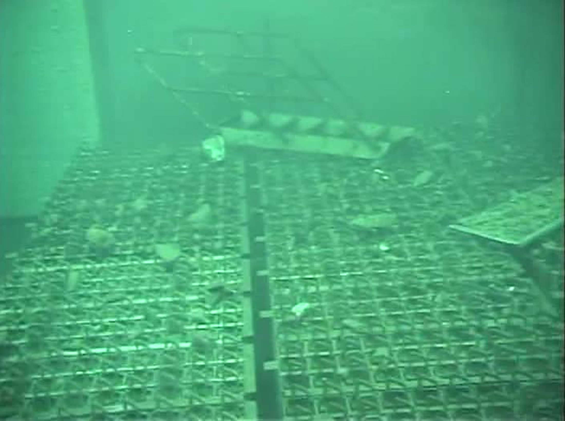 Japan Nuclear Water Japan Nuclear Water