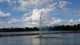 Herrliche Abendstimmung