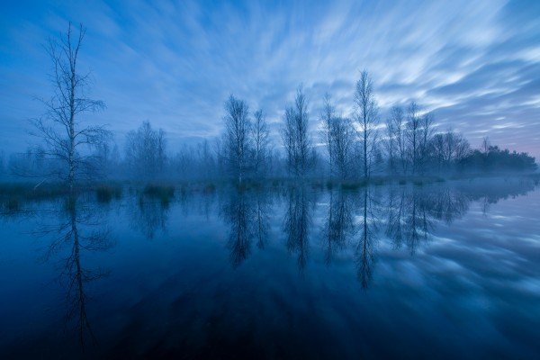 K5_01_Karsten_Mosebach-Moornacht