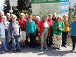 die Gruppe auf dem Karren