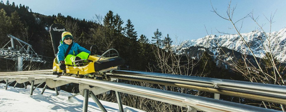 3alpinecoaster_970x250 3alpinecoaster_970x250