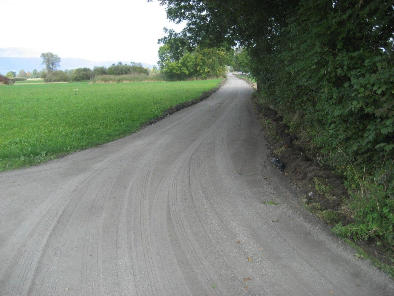 Die bestehenden Wege im Rankweiler Weitried wurden im Sommer 2015 saniert.