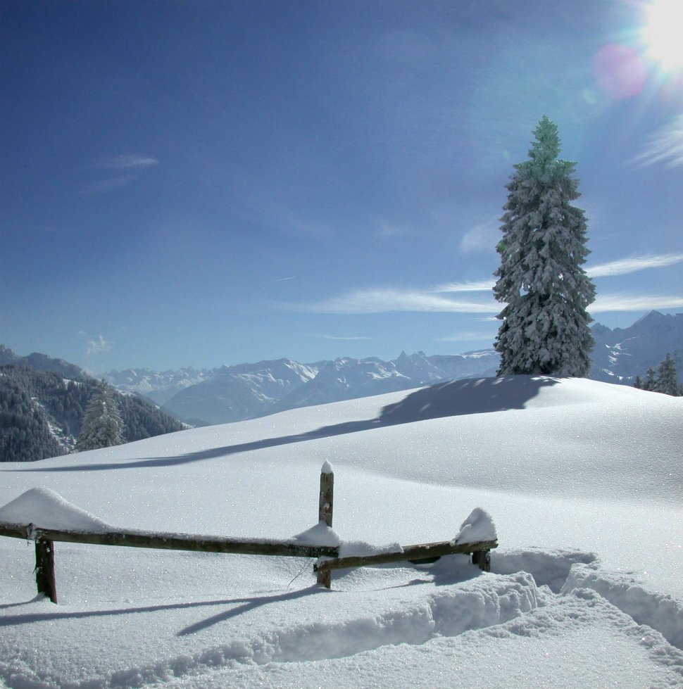 5winterwanderung 5winterwanderung