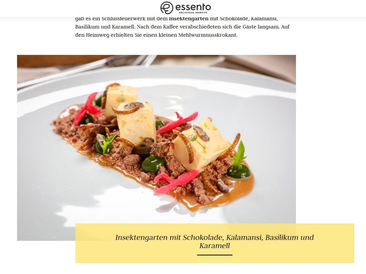 Das Schweizer Start-Up Essento hat allerlei Gerichte für Insektenliebhaber parat.