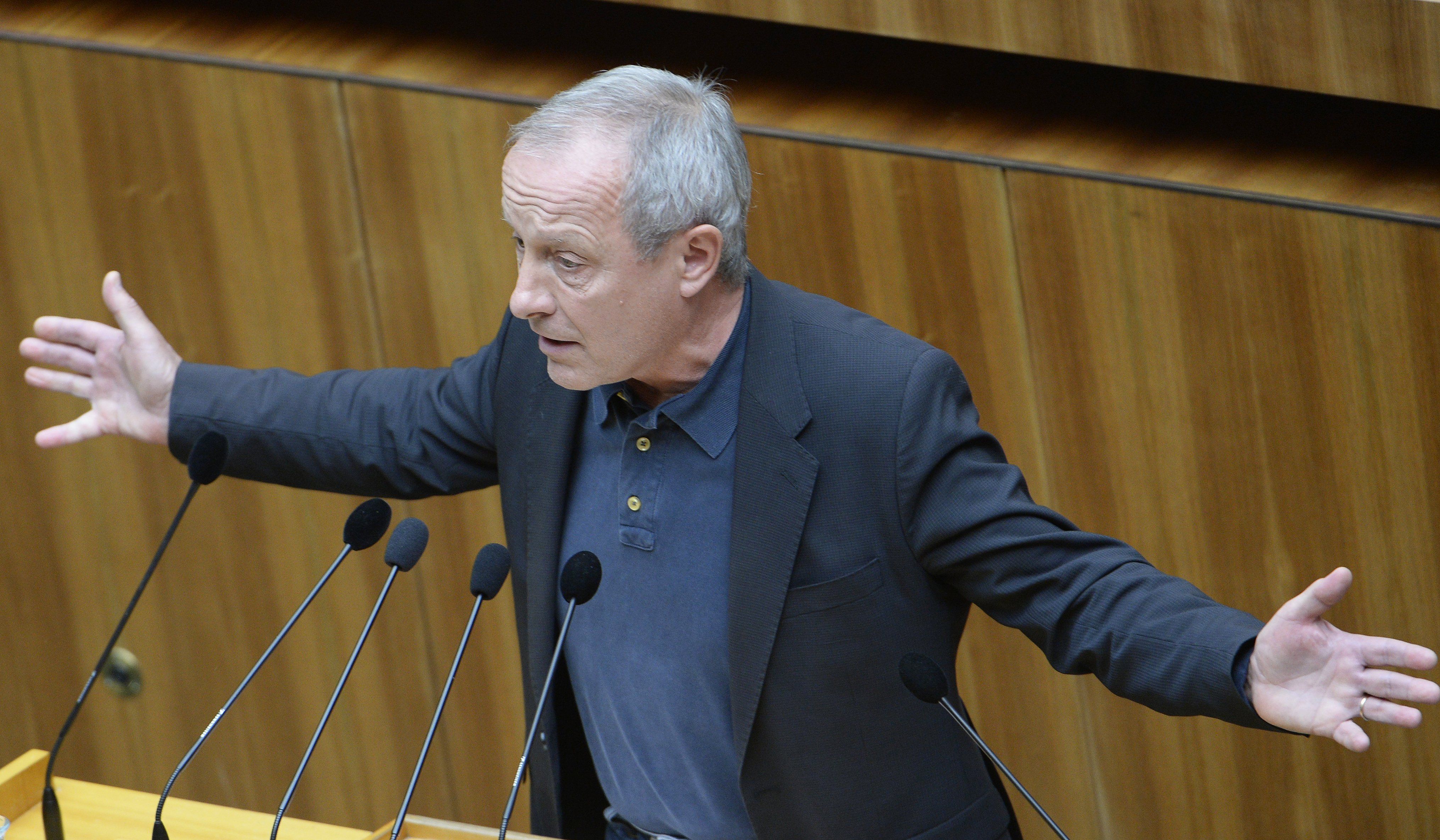 Grünen-Politiker Peter Pilz löst einen Shitstorm aus.