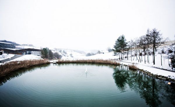teich1 teich1
