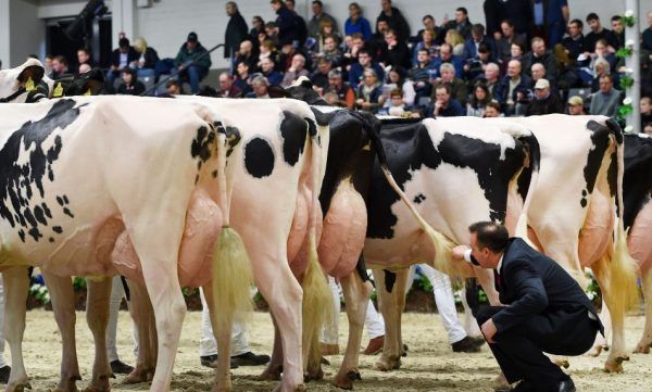 bilder-des-tages-am-freitag