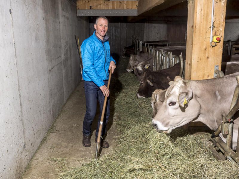 strolz3