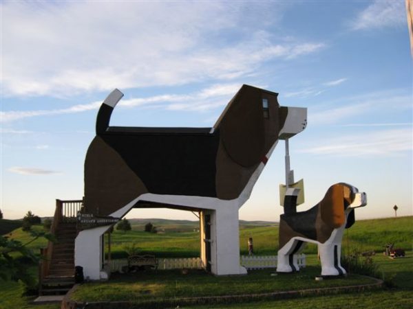 airbnb_dog-house_2 airbnb_dog-house_2