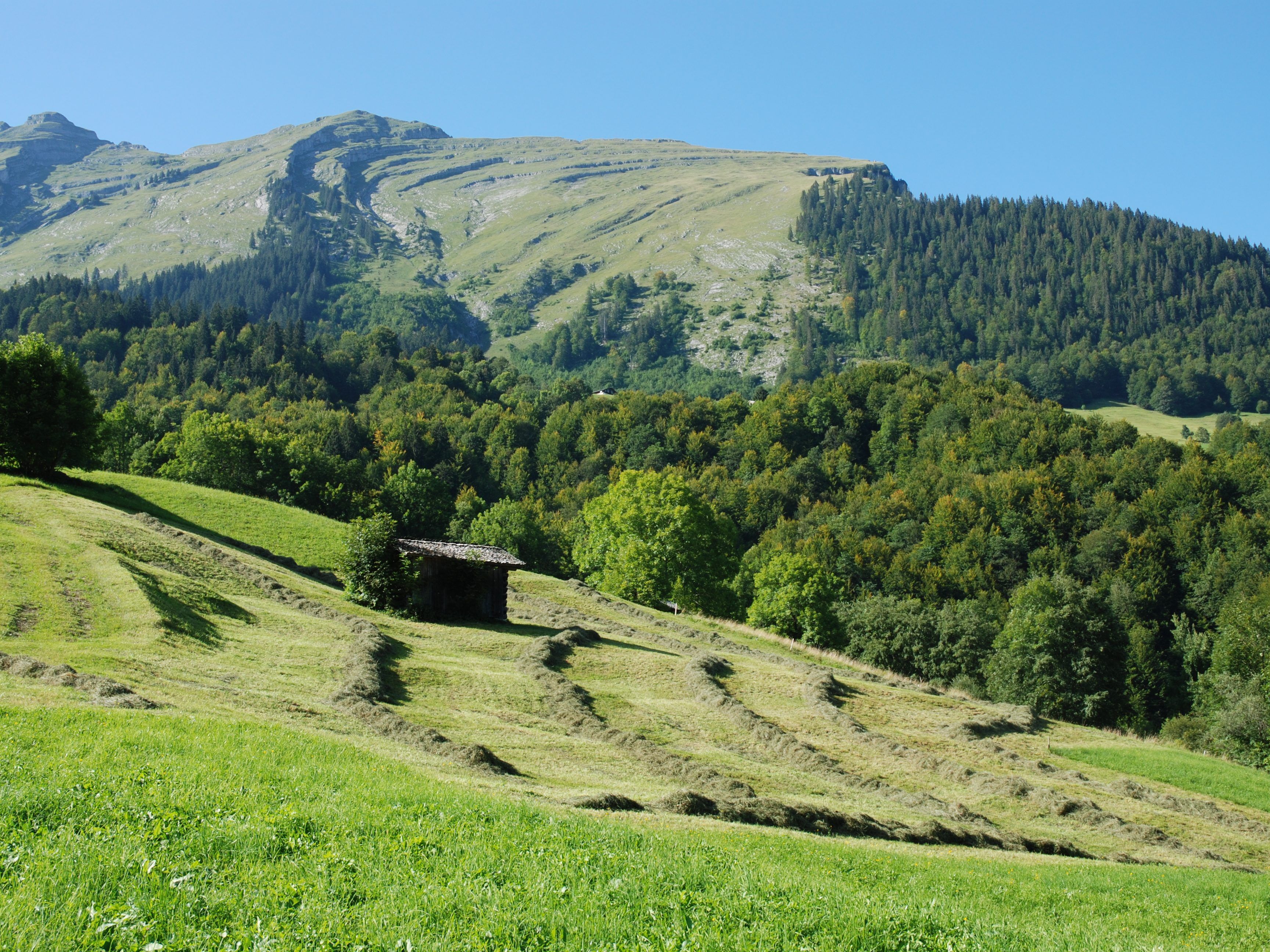 Landwirte aus Au und Schoppernau tragen zur flächendeckenden Bewirtschaftung und damit zur Erhaltung der Kulturlandschaft als Grundlage für den Tourismus bei.