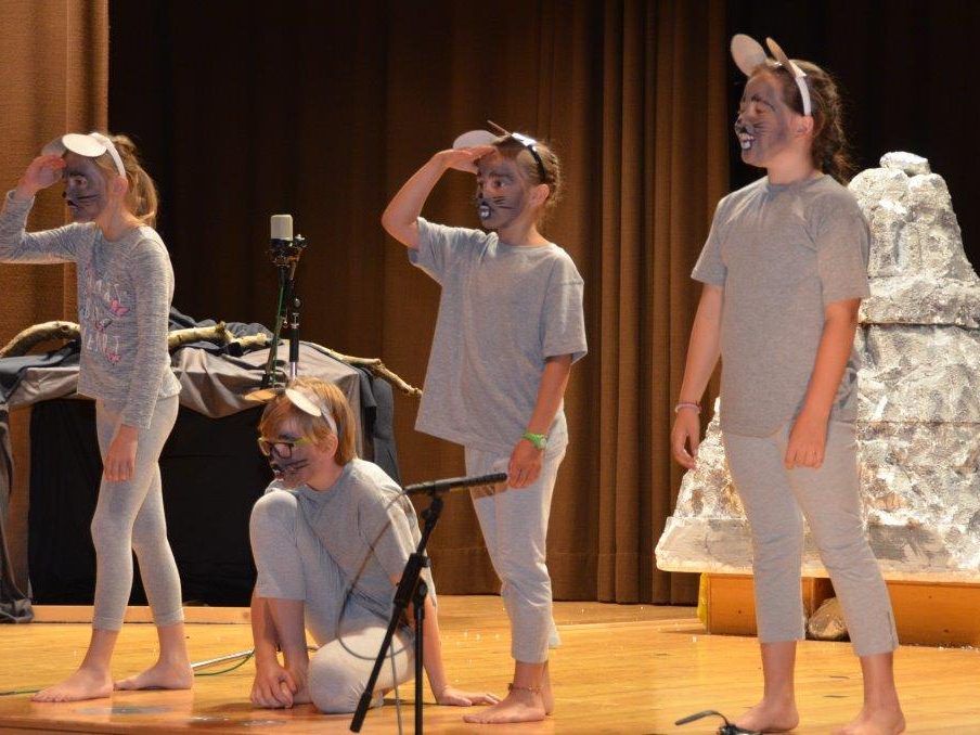Theater Volksschule Innerbraz