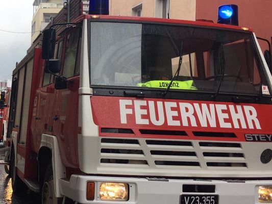 Die Feuerwehr musste den Kraftfahrer befreien.