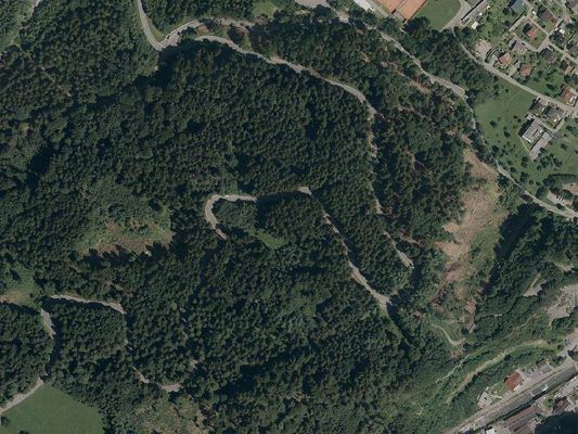 Eine tanne versperrte zeitweise die L82 bei Bürs.